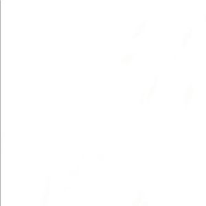 Meet your Posher, Daisy